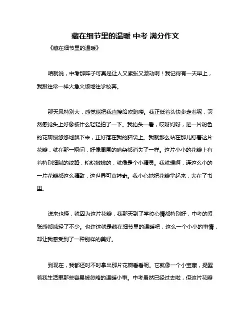 藏在细节里的温暖 中考 满分作文