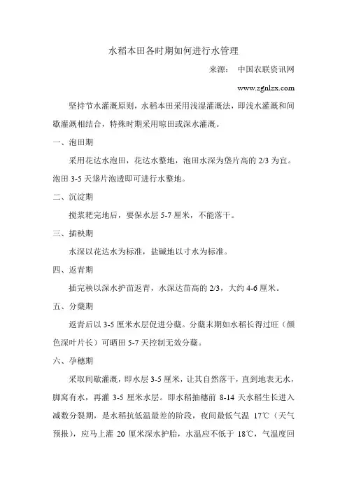水稻本田各时期如何进行水管理
