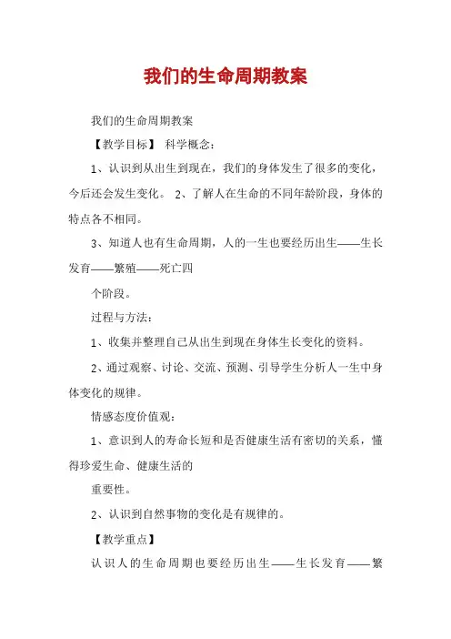 我们的生命周期教案