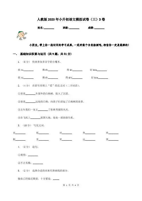 人教版2020年小升初语文模拟试卷(三)D卷