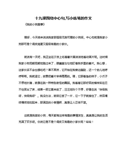 十九课围绕中心句,写小练笔的作文