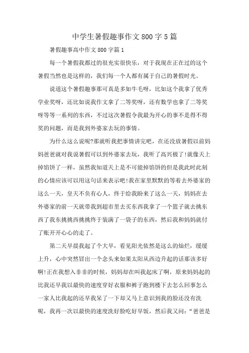 中学生暑假趣事作文800字5篇
