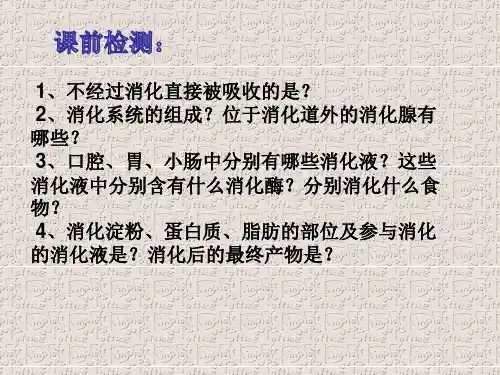 人教版七年级下册第二章第二节消化和吸收第二课时课件(共17张PPT)