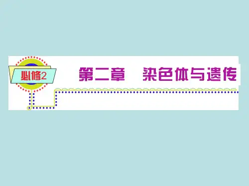 性染色体与伴性遗传ppt1 优秀课件