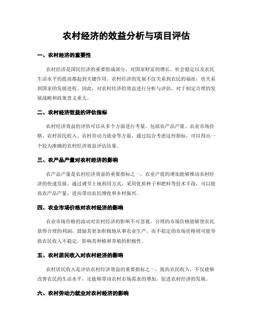农村经济的效益分析与项目评估
