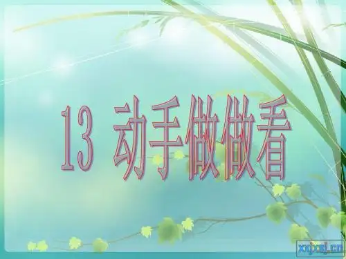 二年级语文下13《动手做做看》课件