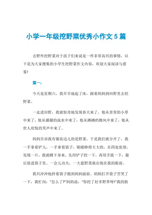 小学一年级挖野菜优秀小作文5篇