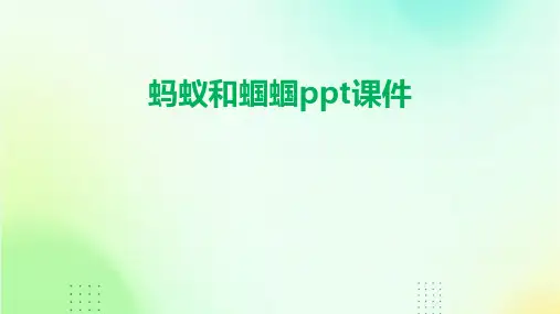 蚂蚁和蝈蝈ppt课件