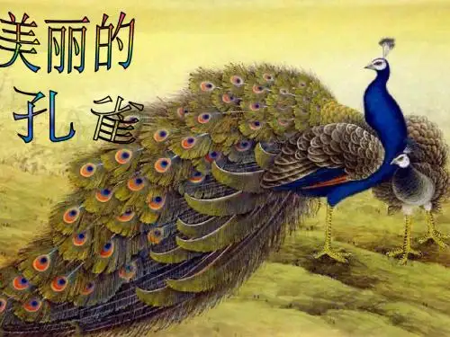 二年级下册美术课件-7美丽的孔雀 ｜人教新课标 (共26张PPT)