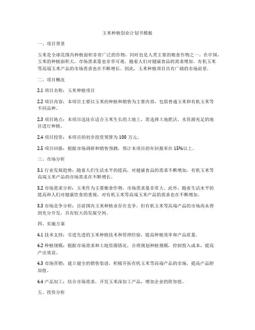 玉米种植创业计划书模板