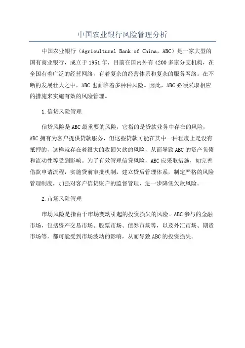 中国农业银行风险管理分析