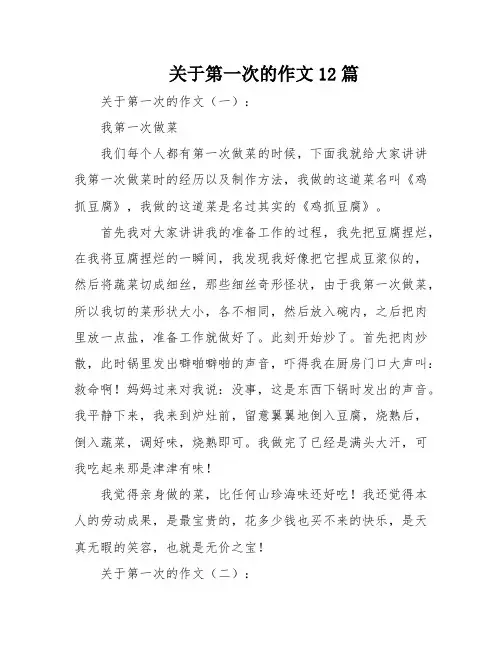 关于第一次的作文12篇