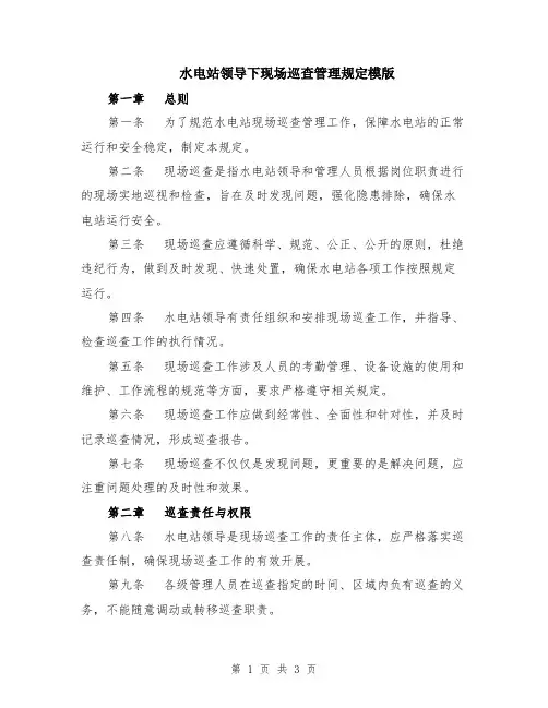 水电站领导下现场巡查管理规定模版