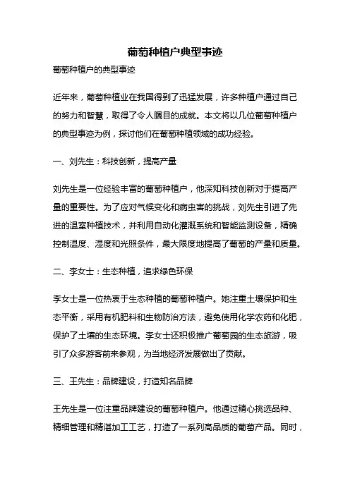 葡萄种植户典型事迹