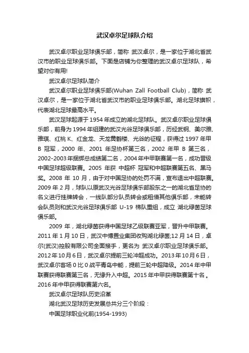 武汉卓尔足球队介绍