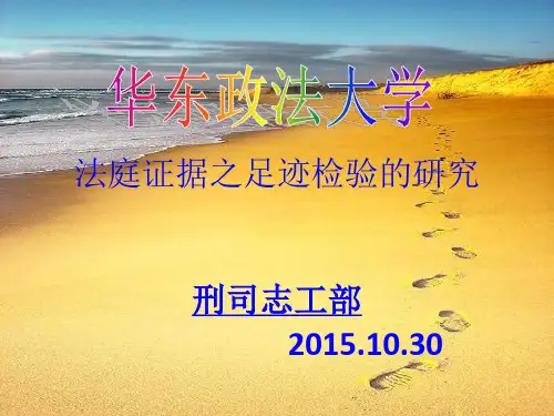 _足迹鉴定PPT