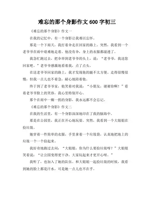 难忘的那个身影作文600字初三