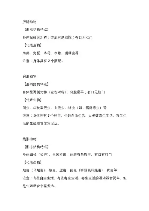 初中生物无脊椎动物6大类