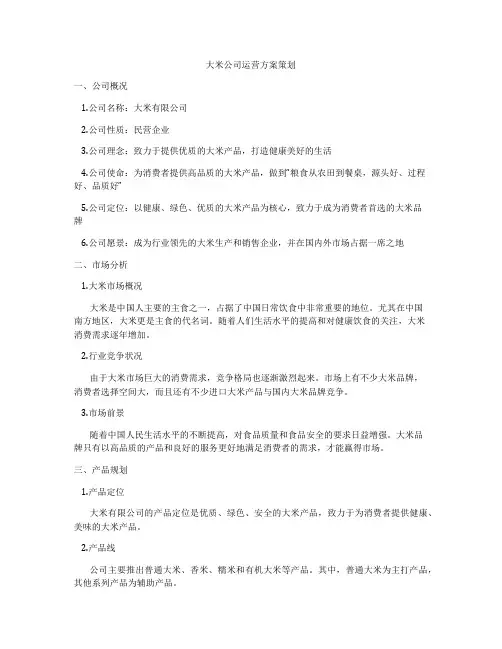 大米公司运营方案策划