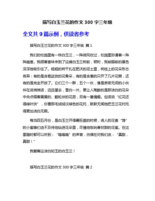 描写白玉兰花的作文300字三年级