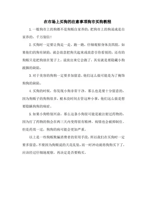 在市场上买狗的注意事项狗市买狗教程