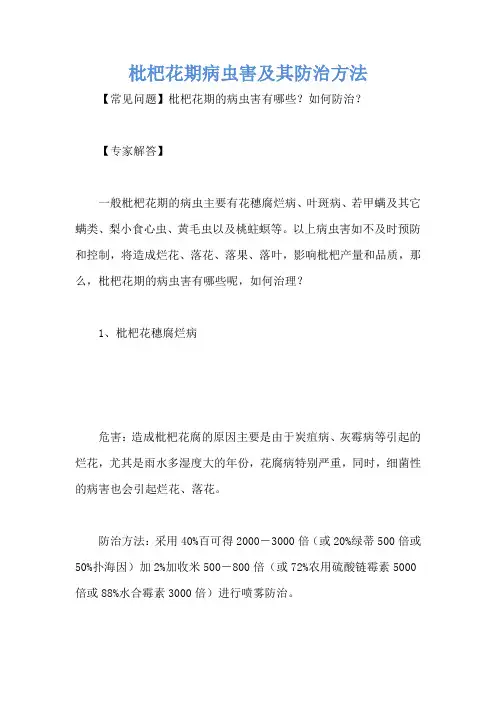 枇杷花期病虫害及其防治方法