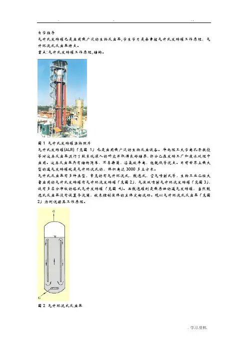 气升环流式反应器