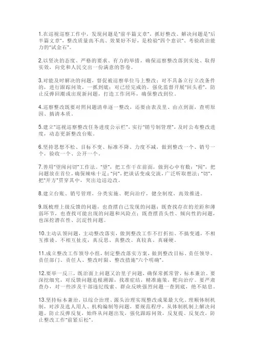 巡察整改金句
