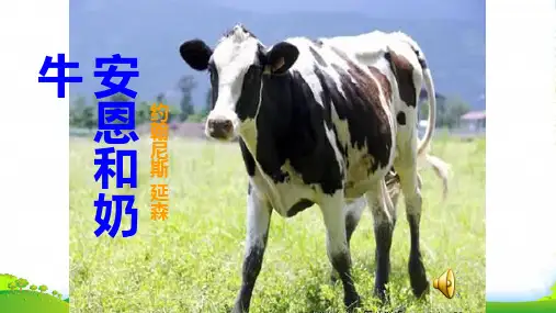 新苏教版语文七年级上册()：第3课 安恩和奶牛课件