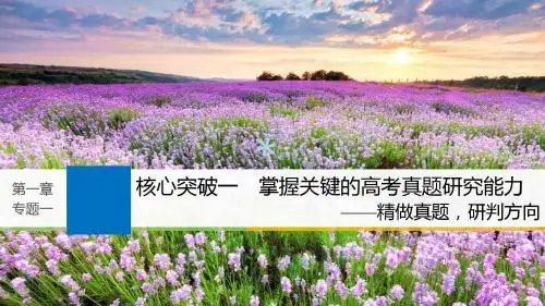 2019届高考语文一轮复习第一章语言文字的运用专题一字音与字形核心突破一掌握关键的高考真题研究能力课件20