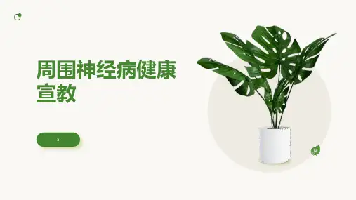 周围神经病健康宣教