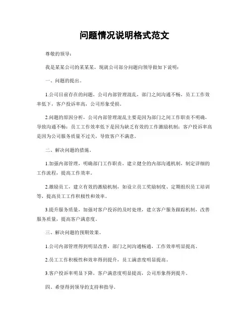 问题情况说明格式范文
