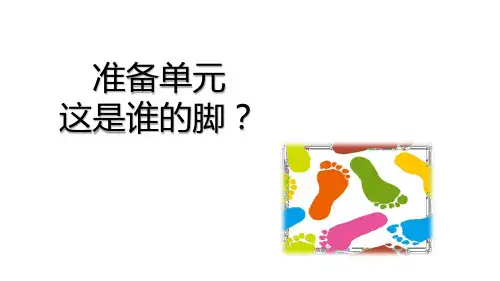 大象版小学科学二年级上册同步配套教学课件(全册)