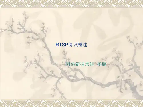 RTSP协议概述