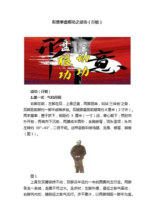 形意拳盘根功之动功（行桩）