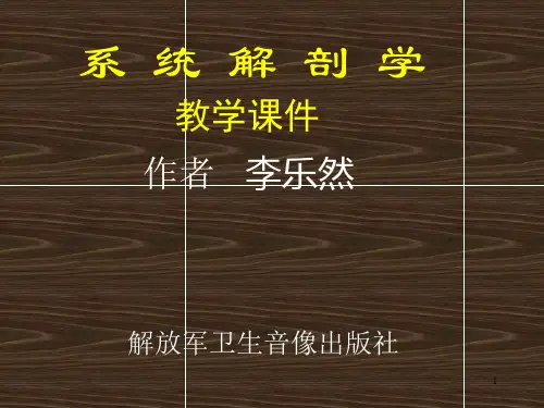 《系统解剖学绪论》