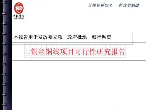 铜丝铜线项目可行性研究报告-精品文档