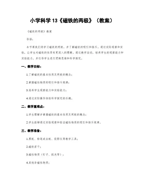 小学科学13《磁铁的两极》(教案)