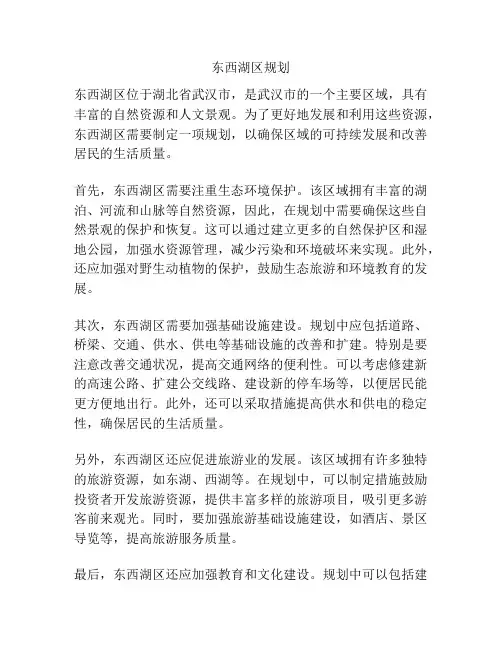 东西湖区规划