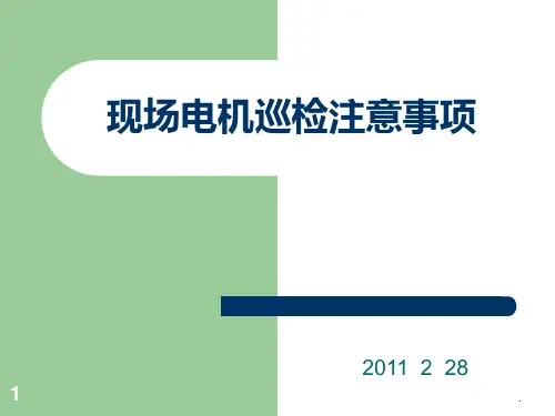 电机巡检注意事项PPT课件