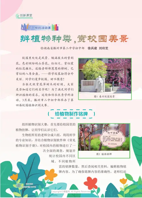 辨植物种类，赏校园美景