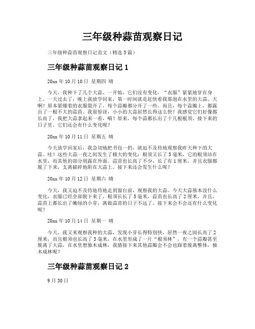 三年级种蒜苗观察日记