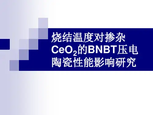 烧结温度对BNBT压电陶瓷性能影响