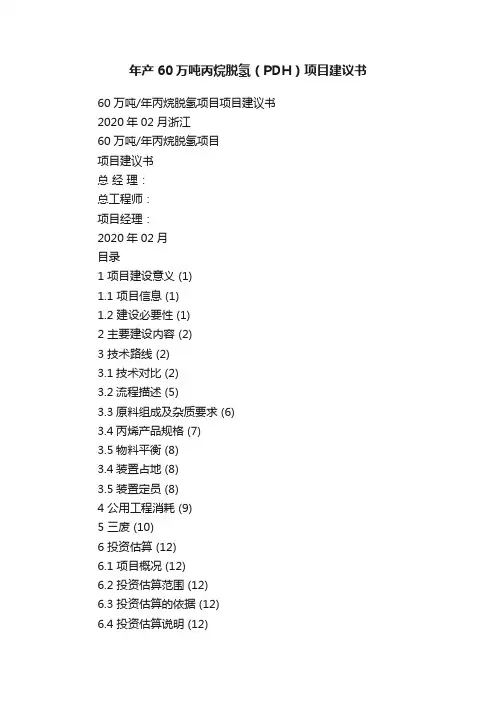 年产60万吨丙烷脱氢（PDH）项目建议书