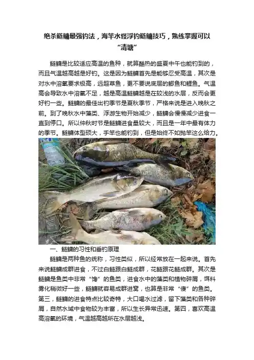 绝杀鲢鳙最强钓法，海竿水怪浮钓鲢鳙技巧，熟练掌握可以“清塘”