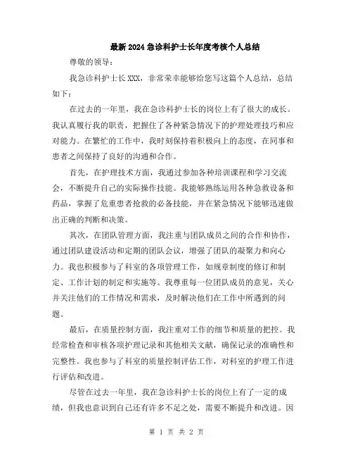 最新2024急诊科护士长年度考核个人总结
