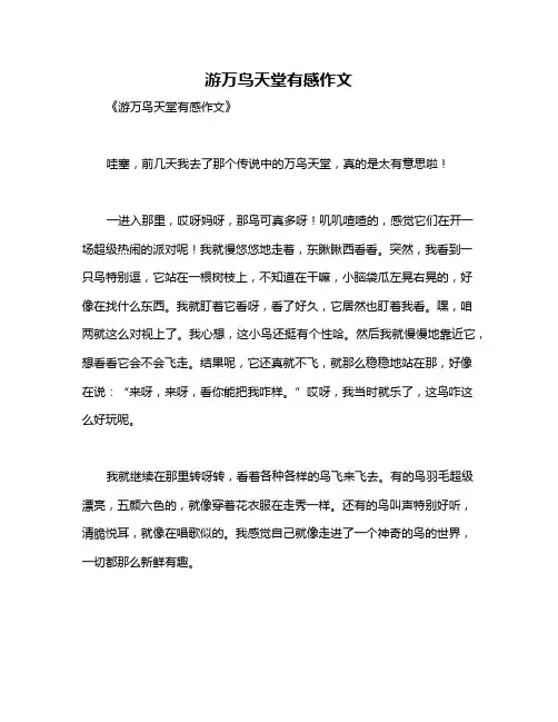 游万鸟天堂有感作文