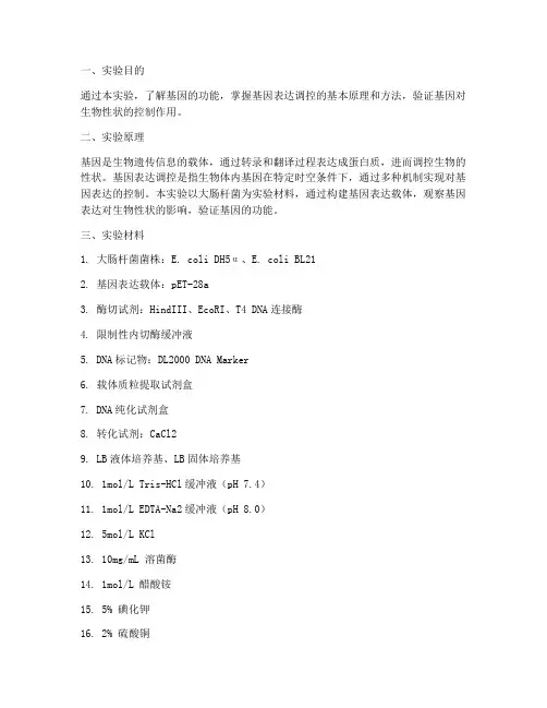 基因的功能实验报告
