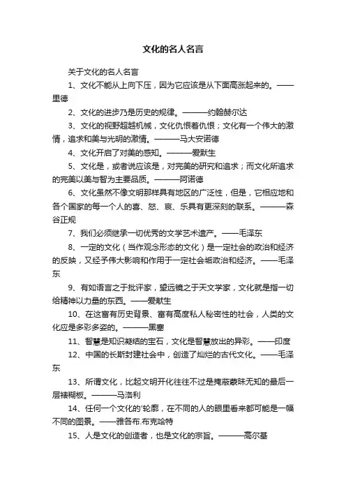 关于文化的名人名言