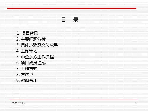 项目建议书ppt38页(1).ppt